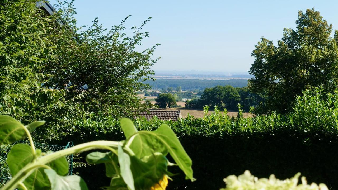 Schoene Aussicht Appartement Nideggen Buitenkant foto